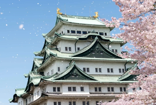 名古屋包棟民宿推薦