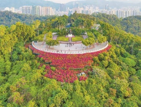 蓮花山公園深業上城
