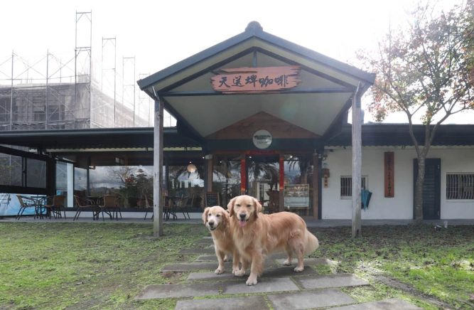 阿里山寵物餐廳推薦