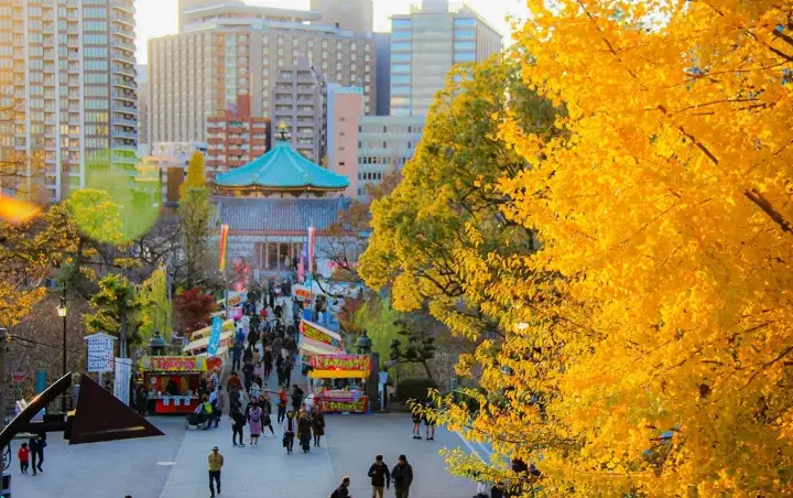 東京賞楓景點 東京賞楓景點