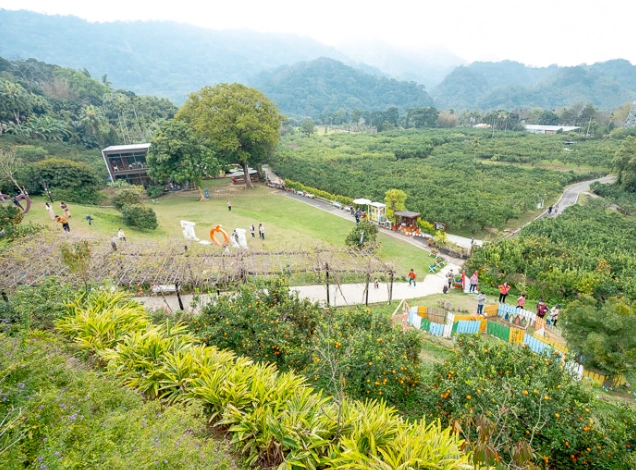 桃園農場一日遊全攻略：行程規劃、景點推薦與避坑指南