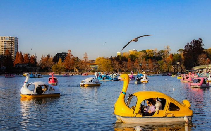 上野恩賜公園楓葉觀賞全攻略：最佳時間、交通與拍照秘訣