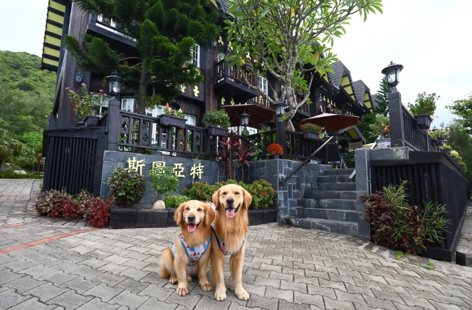 阿里山寵物餐廳推薦