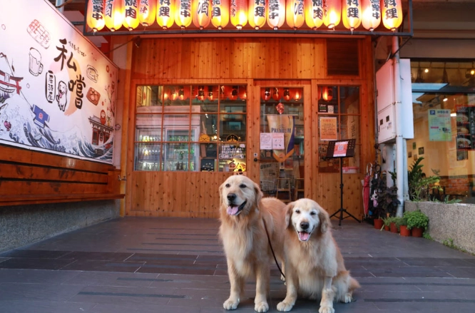 阿里山寵物餐廳推薦