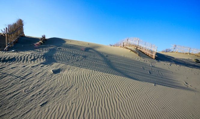 觀音草漯沙丘 觀音草漯沙丘
