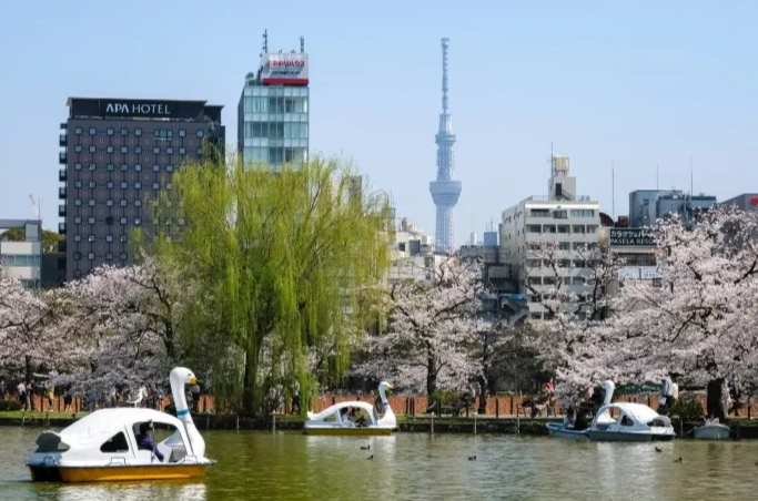 上野景點 上野景點