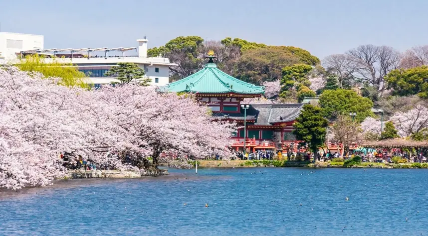 上野公園 上野公園