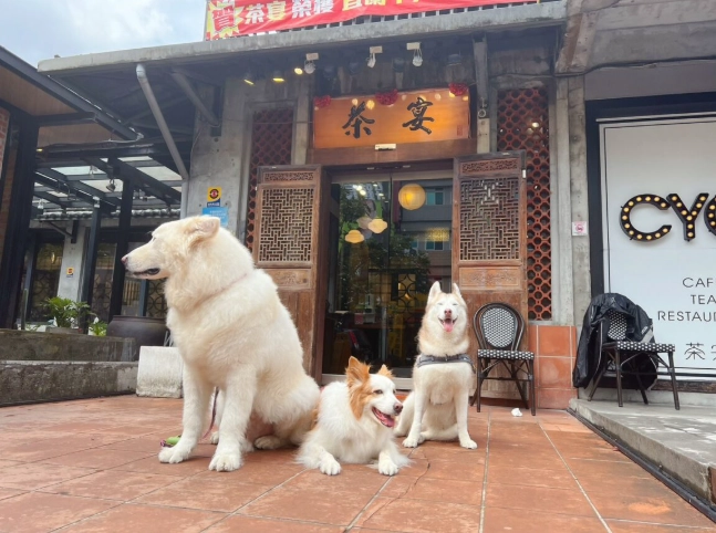 阿里山帶寵物餐廳