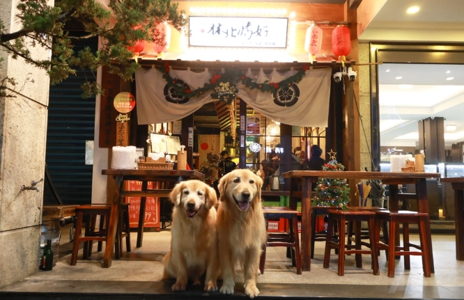 阿里山帶寵物餐廳