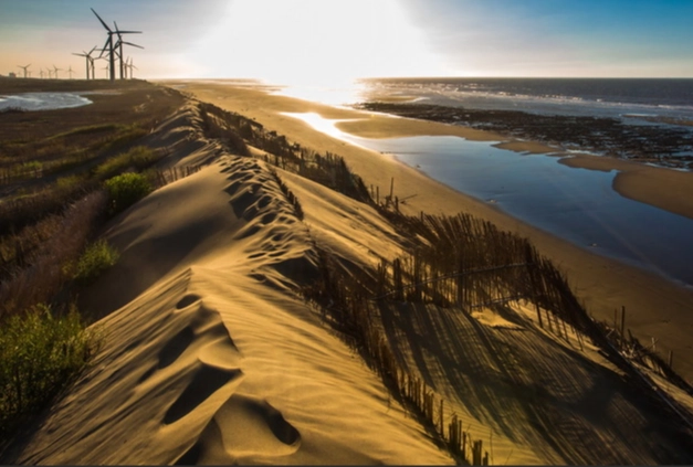 觀音草漯沙丘 觀音草漯沙丘