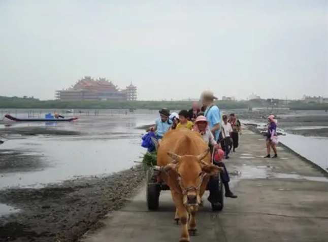 芳苑王功牛車體驗 芳苑王功牛車體驗
