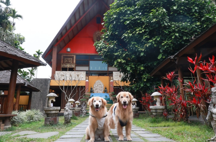 寵物友善住宿南投