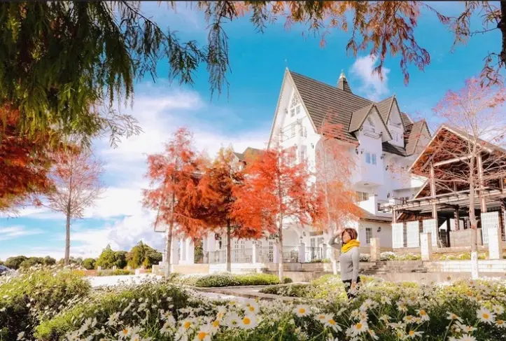 離清境農場最近的民宿