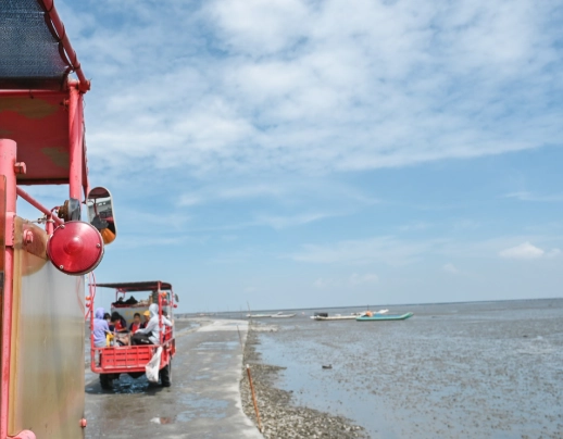 海邊挖蛤蜊技巧