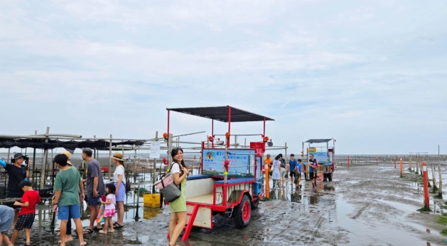 彰化海邊挖蛤蜊全攻略：地點、技巧與必知注意事項