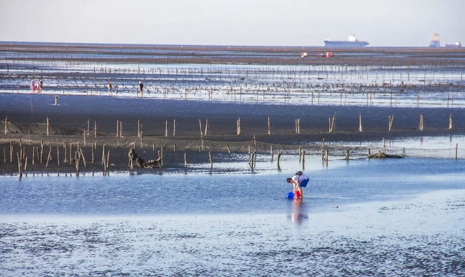 彰化挖蛤蜊地點