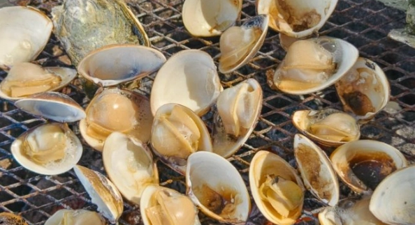 王功漁港挖蛤蜊地點