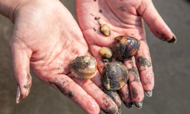 王功漁港挖蛤蜊地點
