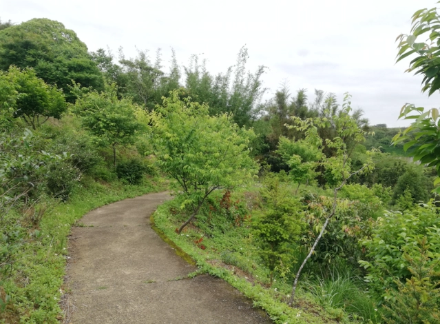 桃園親子步道