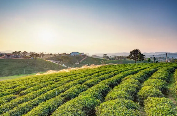 南部親子景點推薦
