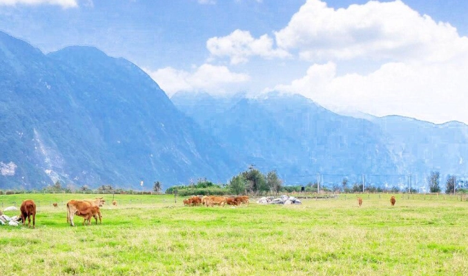 親子旅遊行程規劃