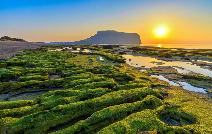 濟州島自然景點 濟州島自然景點
