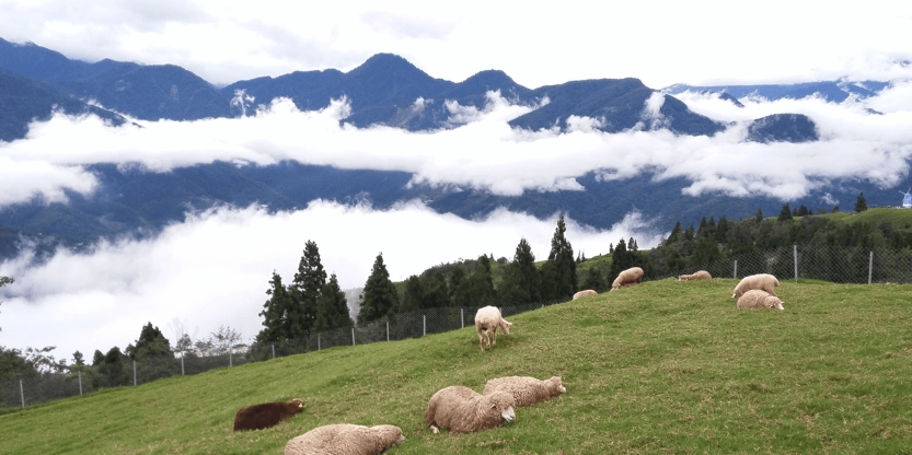 清境農場 行程規劃 清境農場 行程規劃