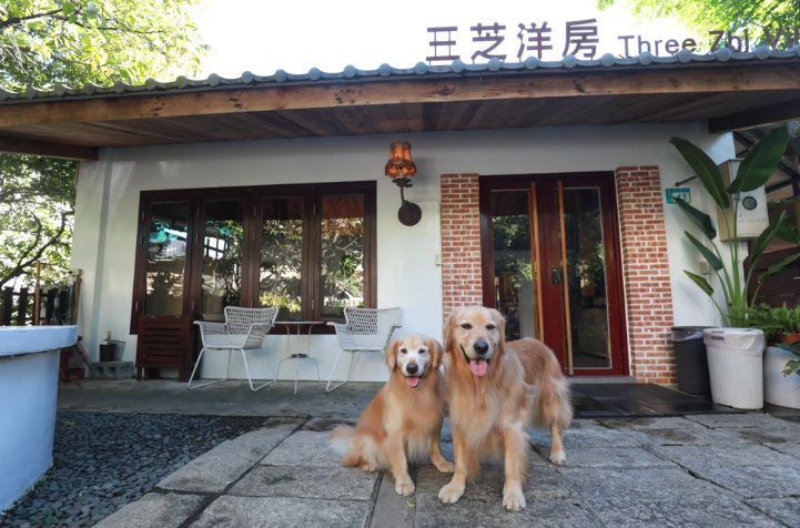 阿里山寵物友善住宿
