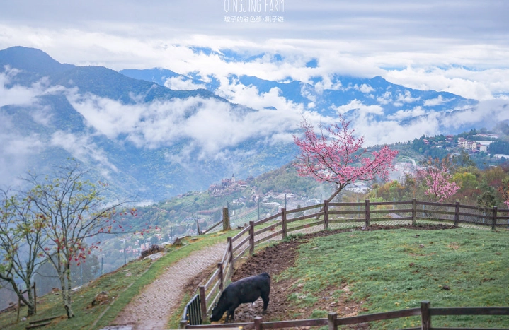 台北到清境農場交通時間全攻略：自駕、客運、行程規劃一次搞定