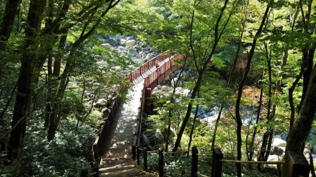 漢拿山登山路線全攻略：城板岳、御里牧、觀音寺路線比較與選擇建議