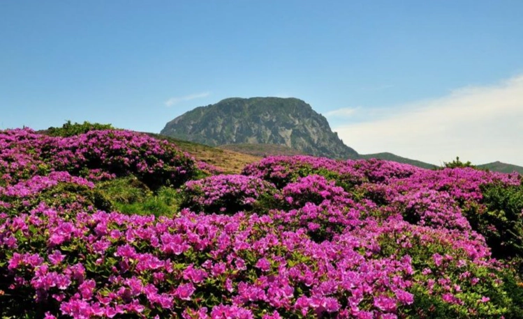 御里牧路線 御里牧路線