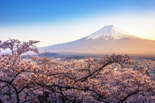 東京自由行預算