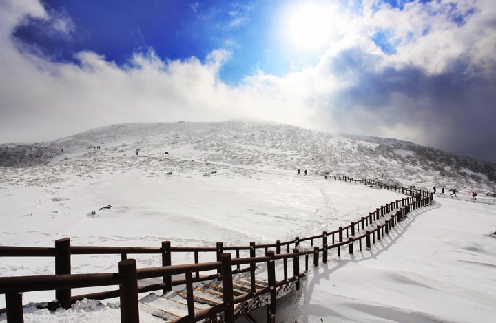 城板岳路線 城板岳路線