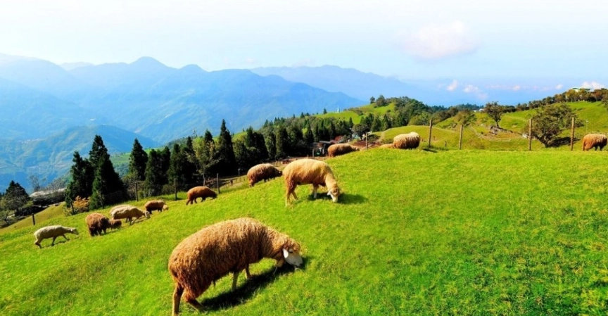 台灣自由行 交通 台灣自由行 交通