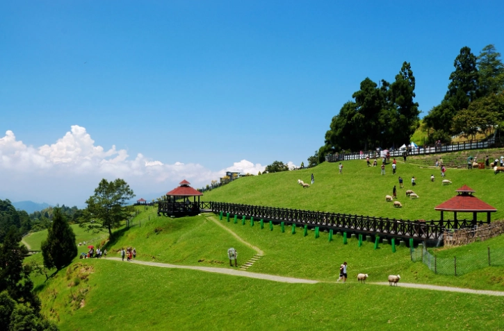 台北到清境農場 交通 台北到清境農場 交通