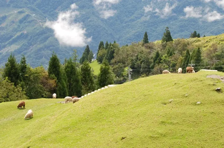 台灣自由行 交通 台灣自由行 交通
