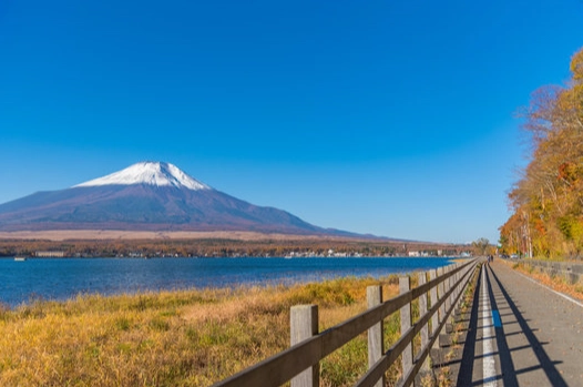 東京三天兩夜自由行預算全攻略：從機票住宿到美食景點花費解析