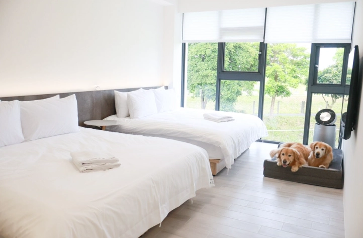 阿里山寵物友善住宿