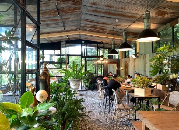 陽明山 不限時 咖啡