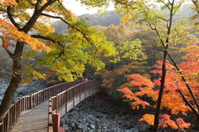 濟州島漢拏山天氣