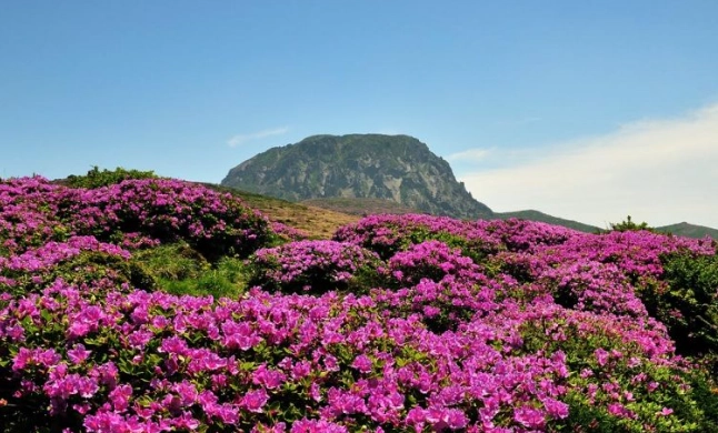 濟州島漢拏山天氣