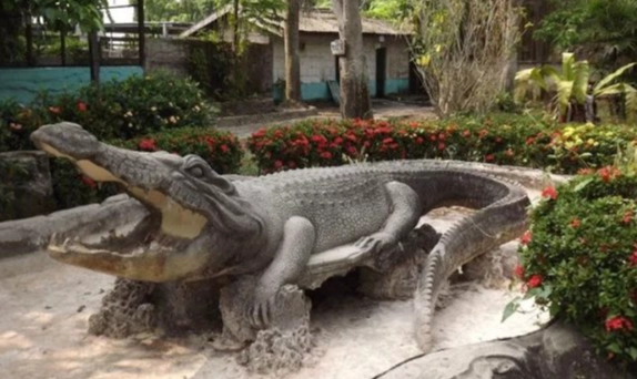 鱷魚博物館 交通