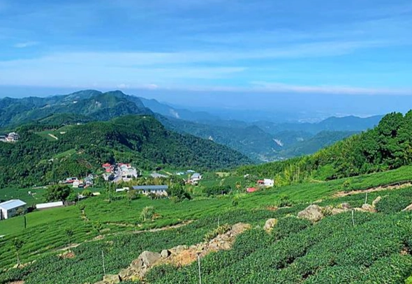 奮起湖寵物友善