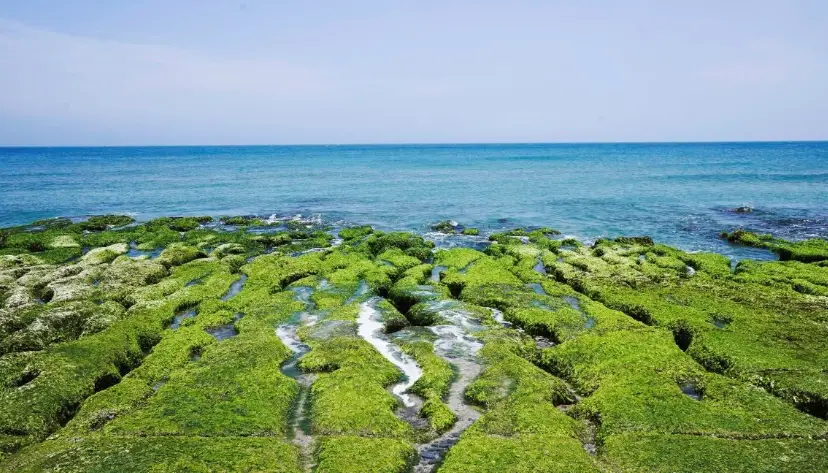 小琉球怎麼玩比較划算？省錢玩法全攻略與實用技巧