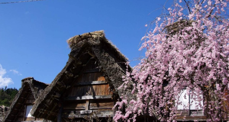 名古屋 到 白川鄉 巴士 名古屋 到 白川鄉 巴士