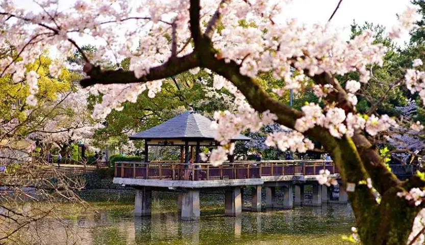 名古屋室內景點全攻略｜雨天備案、親子同樂到文化體驗的交通攻略
