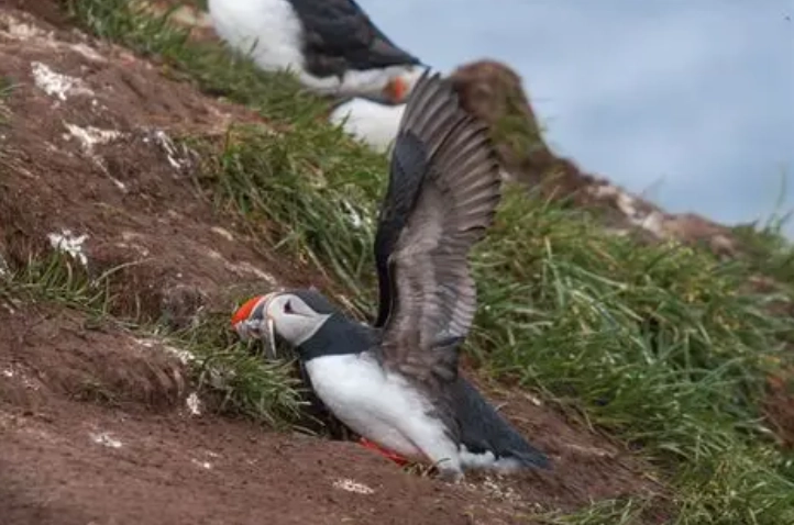 冰島自駕遊 冰島自駕遊