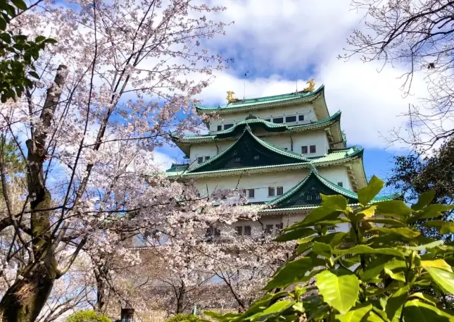 名古屋深度旅遊