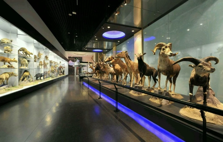 台灣入園預約全攻略：熱門景點預約步驟與避坑技巧