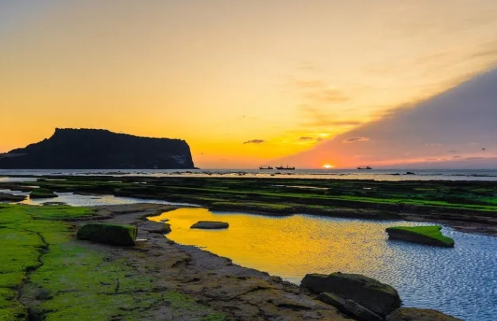 濟州島最佳旅遊時間